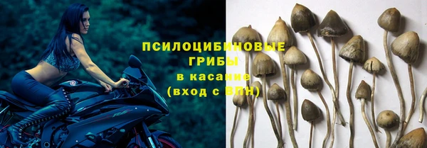 первитин Арсеньев