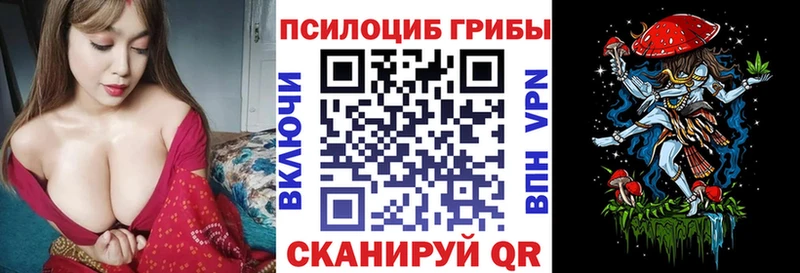 Псилоцибиновые грибы Magic Shrooms  Талдом 